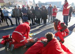 AED PRED HOFERJEM 09 FOTO LJUBO VUKELIČ